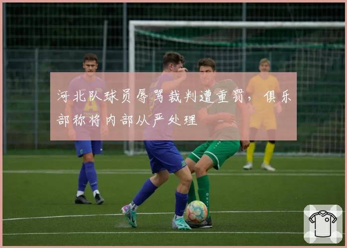 河北队球员辱骂裁判遭重罚,俱乐部称将内部从严处理